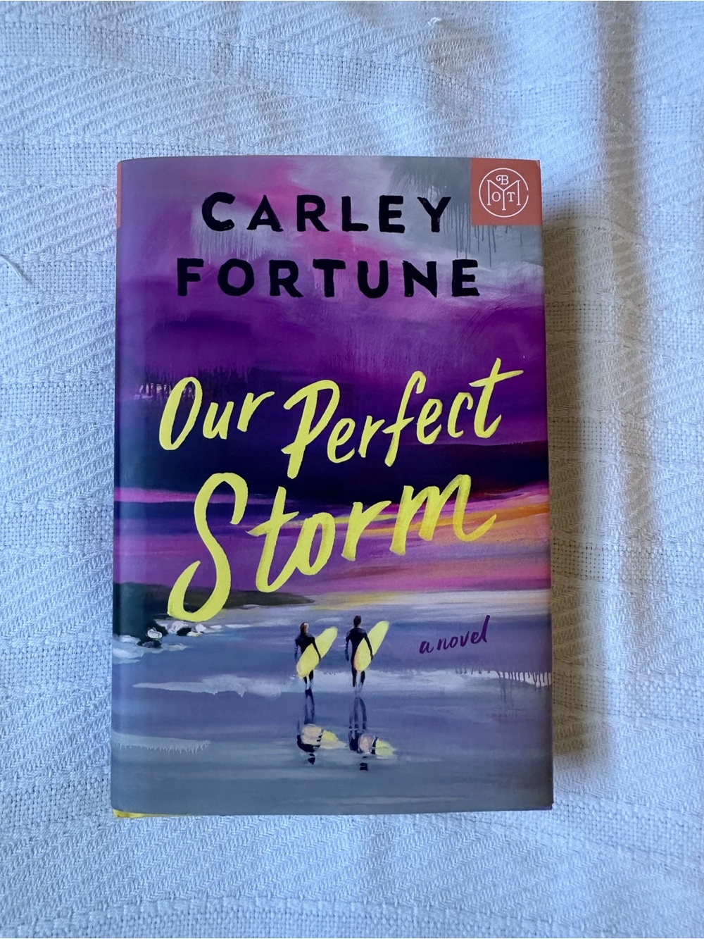 Carley Fortune Our Perfect Storm